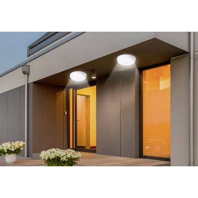 A modern building entrance with illuminated doorways, exterior lights casting shadows, and white flower pots on the patio.