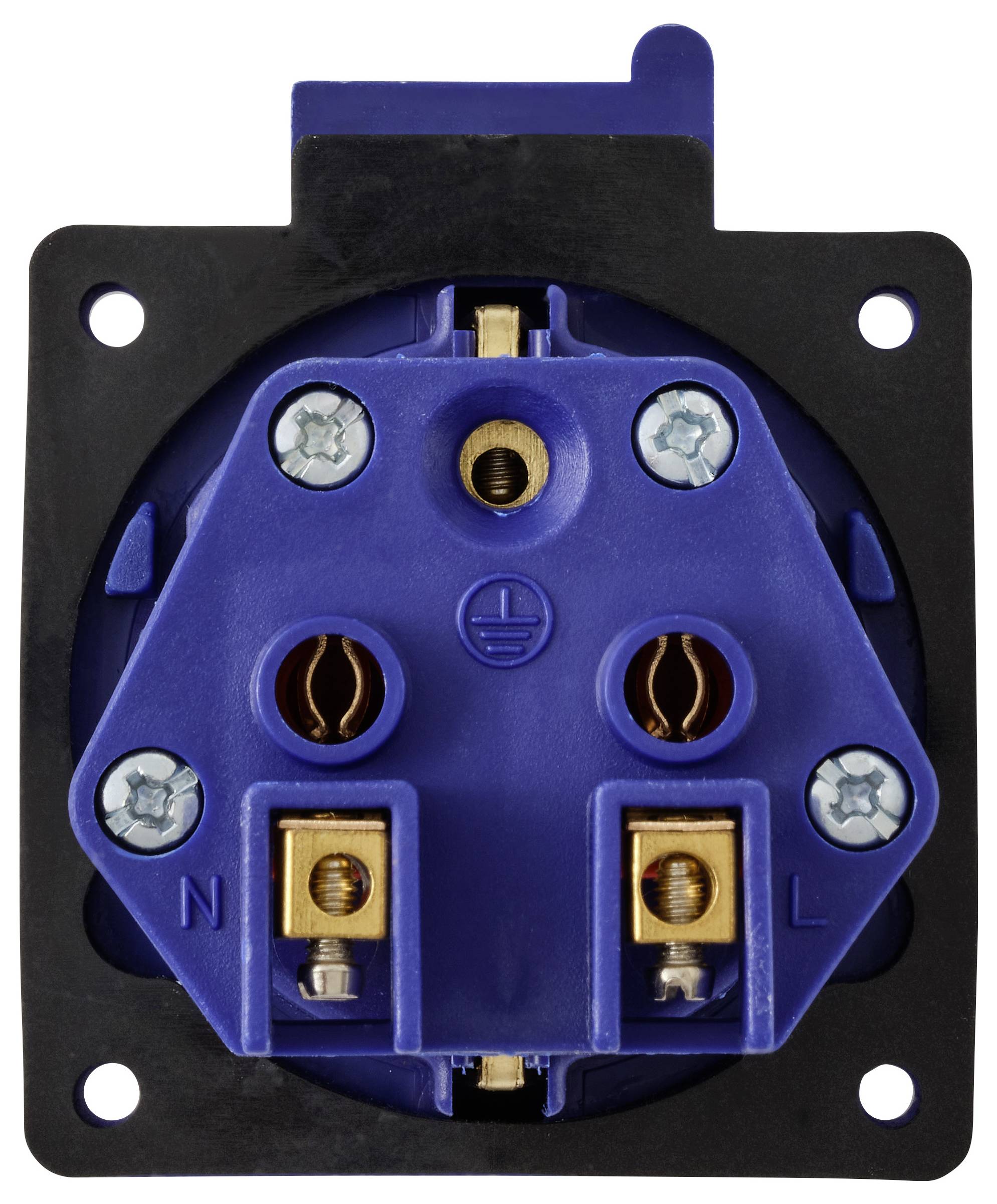 Blue electrical socket connection with earthing symbol in the centre, surrounded by mounting screws. Ideal for technical installations.