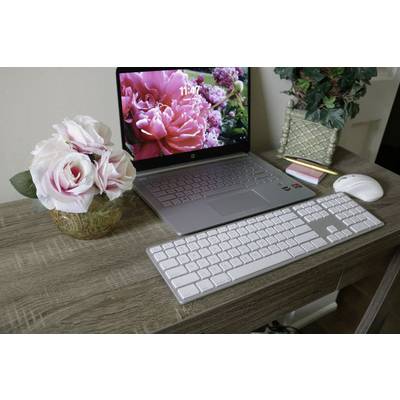 Matias FK416DCS-DE Wireless USB-C® Keyboard for Mac Wireless Keyboard German, QWERTZ, Macintosh Silver-7