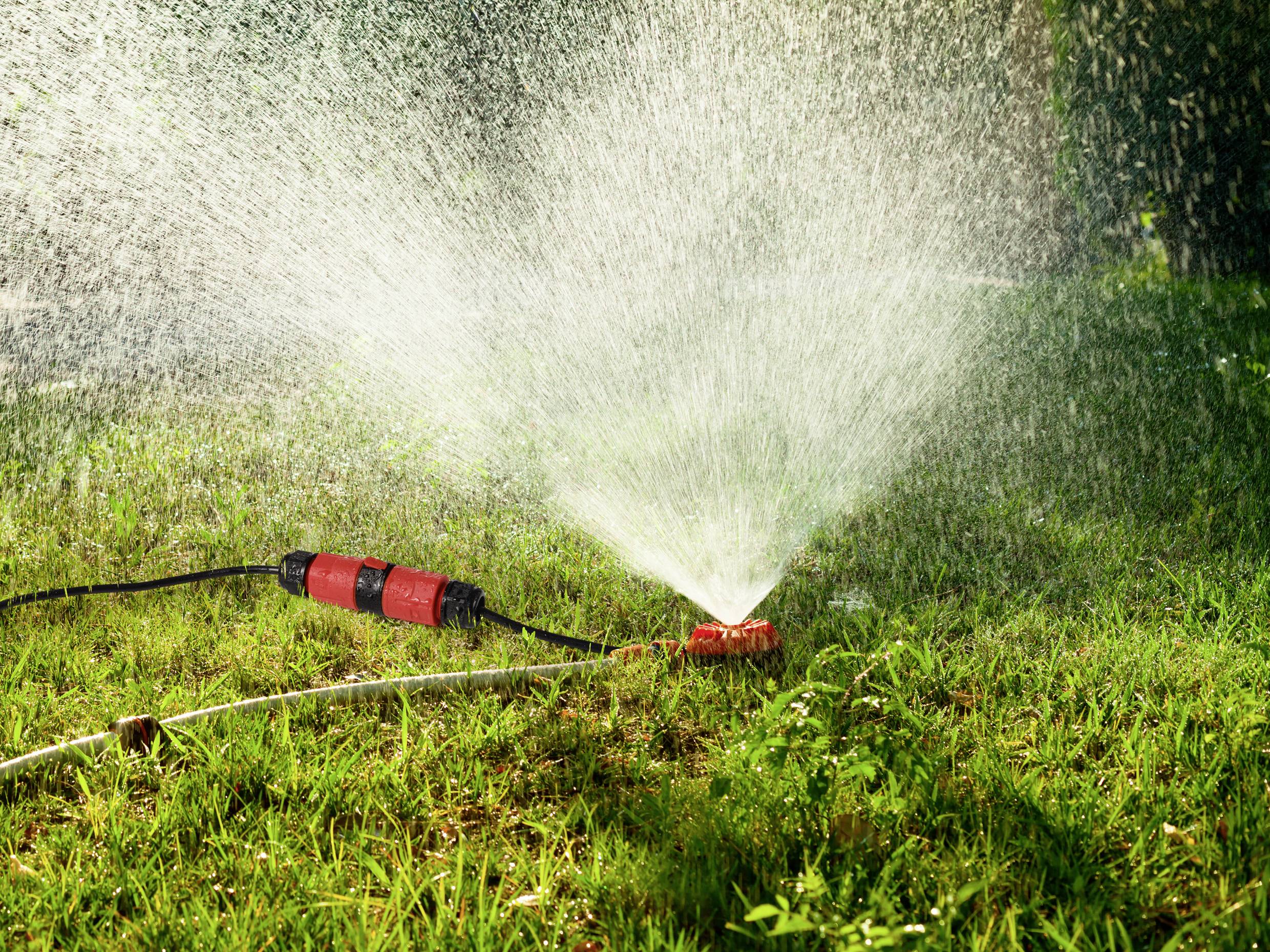 A red sprinkler waters a green lawn on a sunny day. Water droplets glisten in the sunlight.