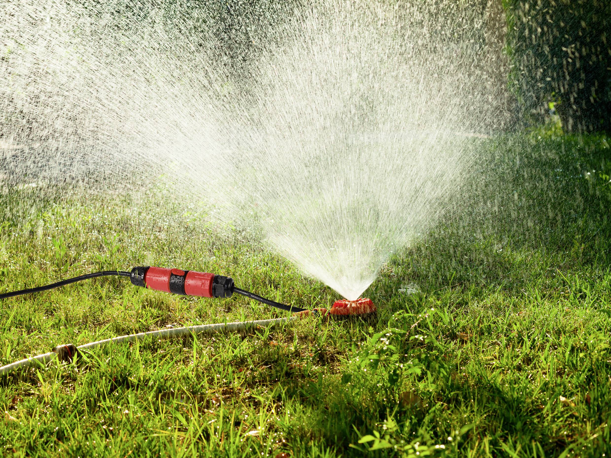 A lawn sprinkler waters a green grass area on a sunny day, dispersing water jets in a wide arc.