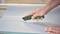 A hand is cutting a sheet of paper with a green Bosch universal knife on a cutting mat.