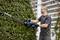 A man is trimming a hedge with an electric hedge trimmer. He is wearing safety glasses and gloves. A building is visible in the background.