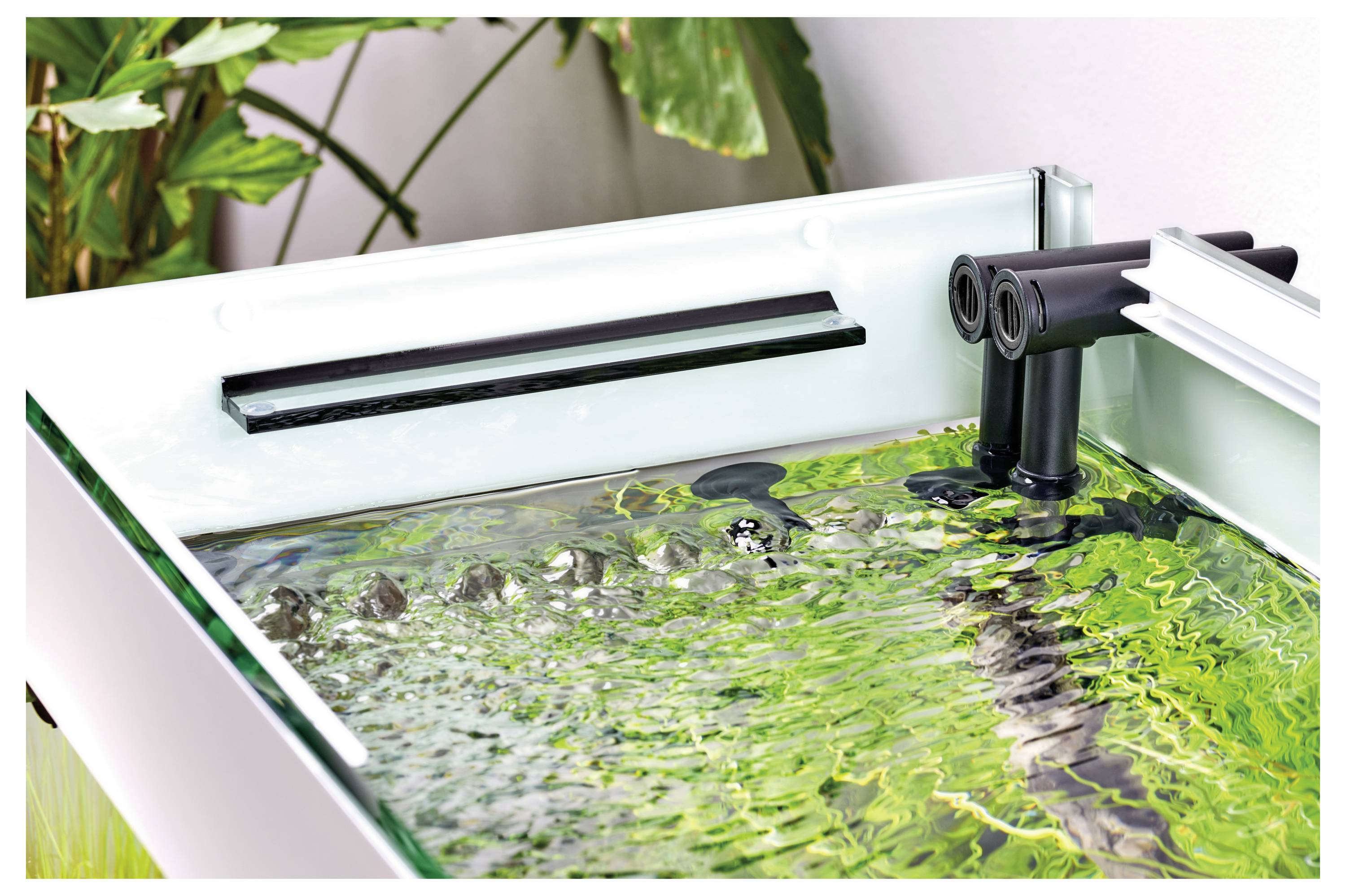 A planted aquarium with clear water features a dual water inlet system. Green plants surround the tank, enhancing the natural look.