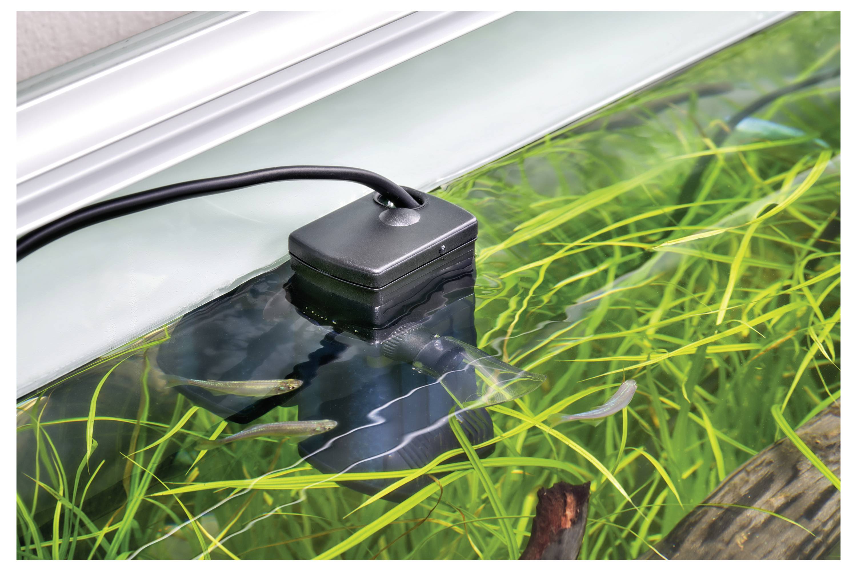 A sensor is attached to the side of a fish tank with vibrant green aquatic plants and partially submerged wires, under bright lighting.