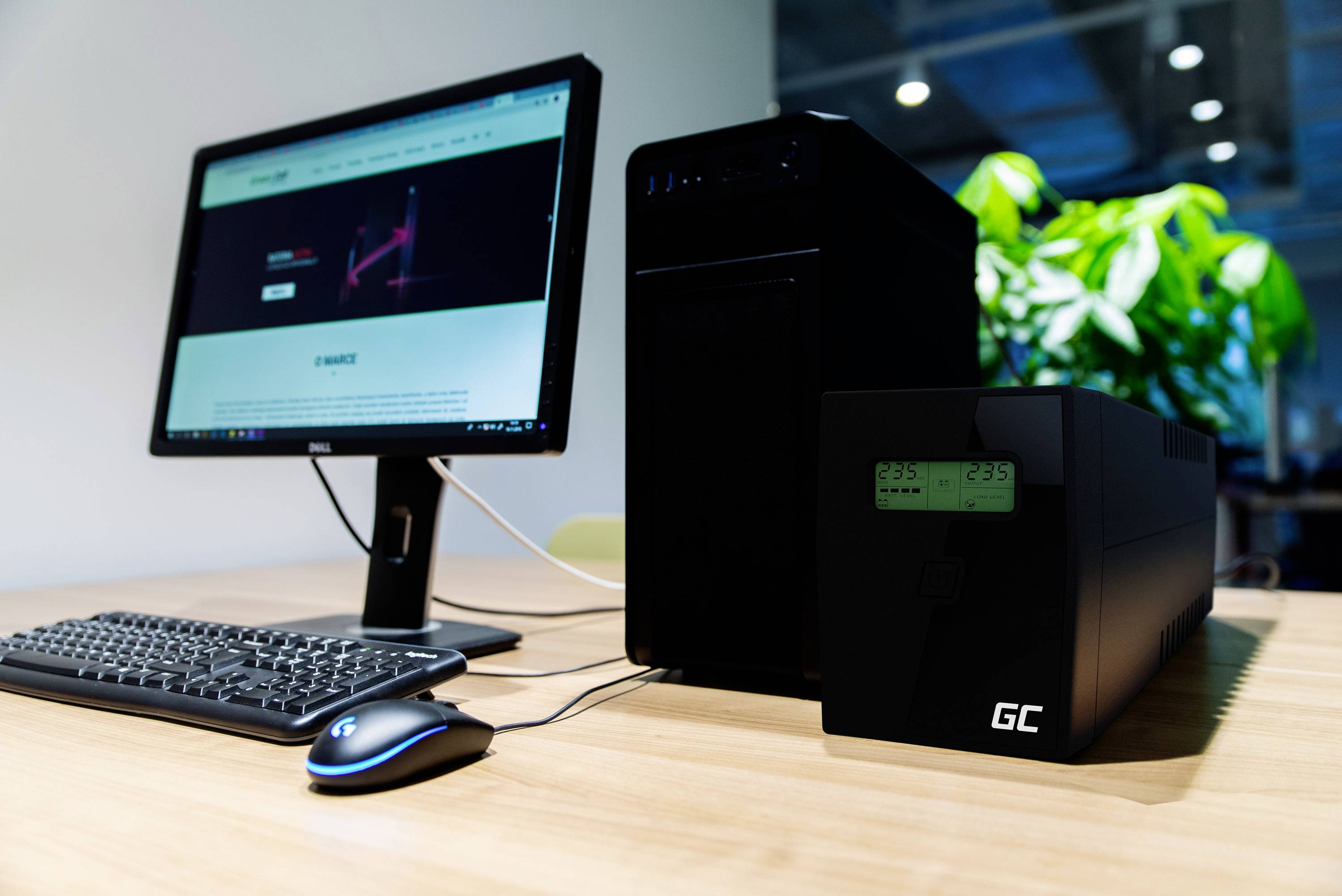 Computer workstation with monitor, desktop PC, keyboard, mouse and a green plant pot in the background on a wooden table.