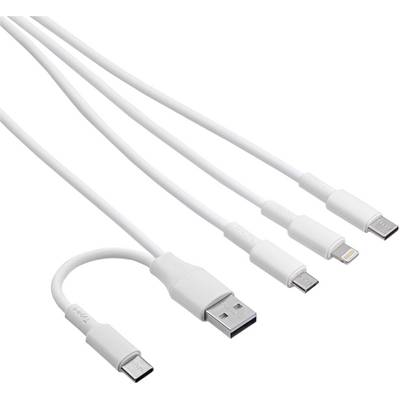 Four white charging cables with different connectors: USB-A, Micro-USB, Lightning and USB-C.