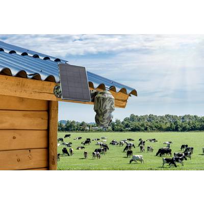 Wooden cabin with a security camera and solar panel on the roof. In the background, a green meadow with grazing cows beneath a blue sky.