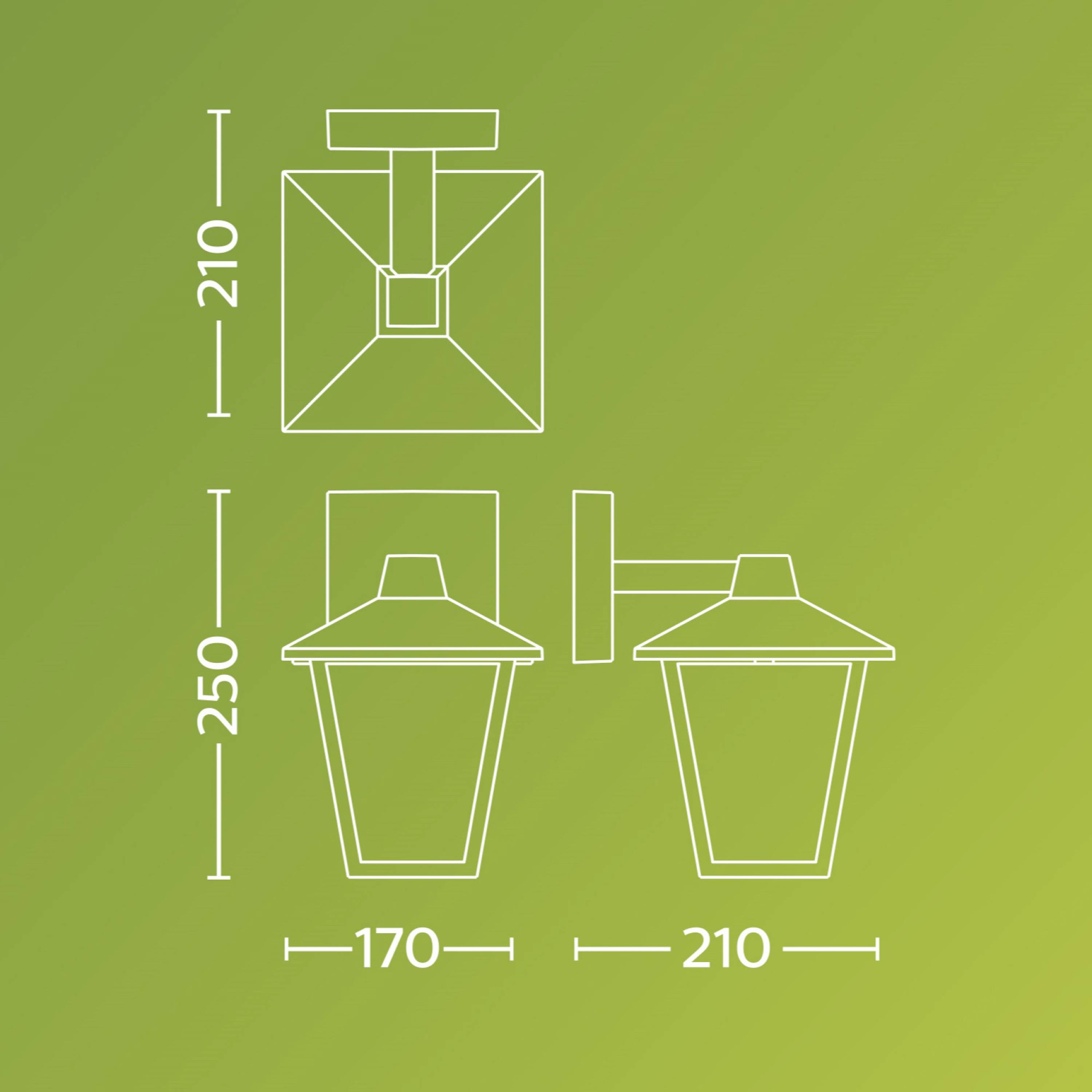 Drawing of an exterior wall light. Dimensions: Width 170 mm, Total height 250 mm, Wall projection 210 mm. Background green.