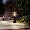 A paved garden path is illuminated by several decorative lanterns at dusk, surrounded by trees and shrubs.