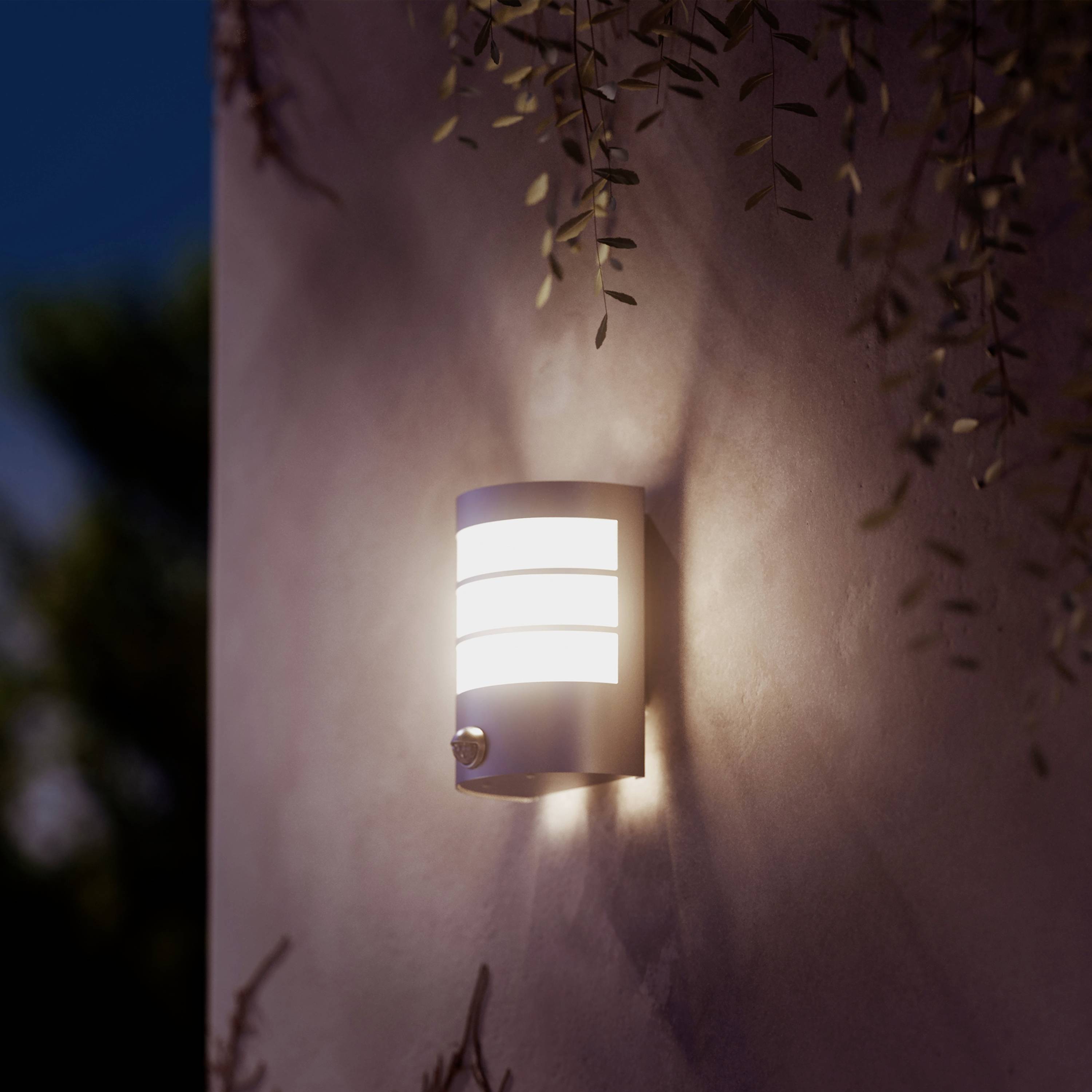 Wall light on a house wall, illuminating in the darkness. Decorative plants hang down above it.