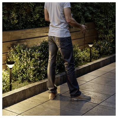Person in jeans and a white T-shirt walking along a lit outdoor garden path beside a raised planter and shrubs.