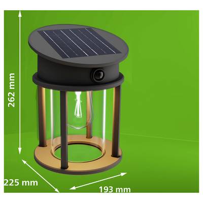 Solar-powered cylindrical lamp or lantern on green background, labeled dimensions 262 mm tall, 225 mm wide, and 193 mm deep.