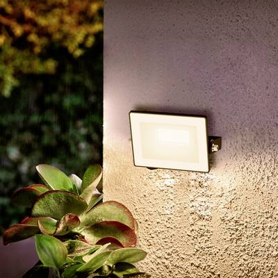 A rectangular wall light illuminates an exterior wall next to green plants. Background blurred, light radiating downwards.