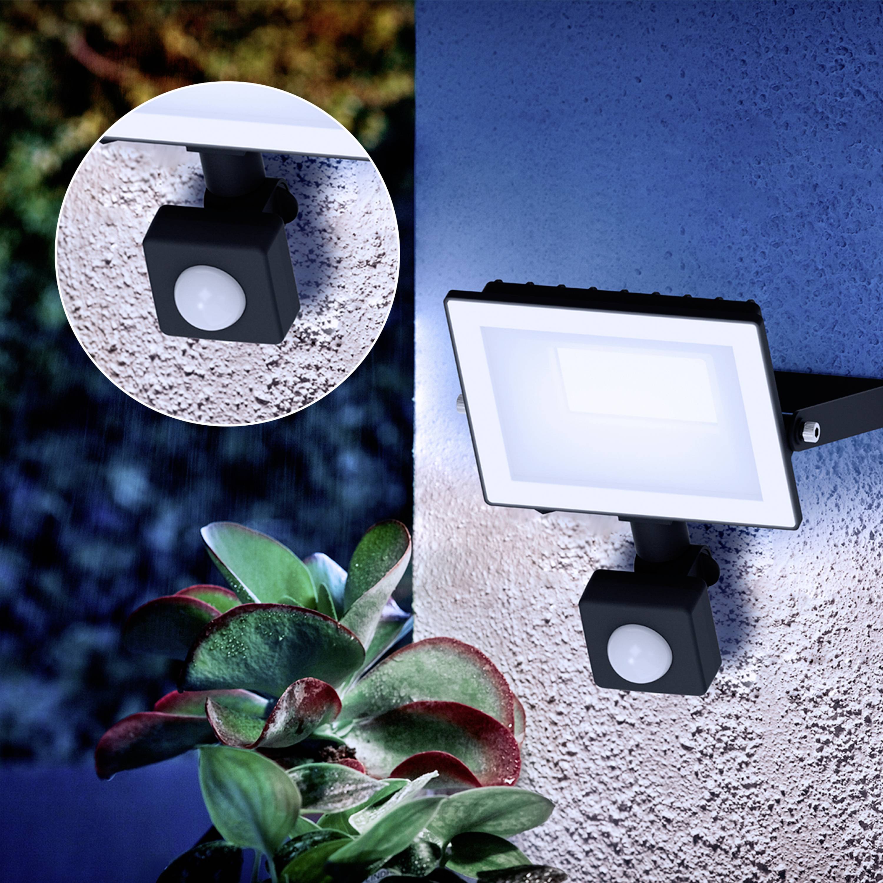 LED outdoor light with motion sensor mounted on a wall, illuminating plants in the foreground. Enlarged section shows sensor.