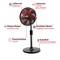 A pedestal fan with labels: Fan blade Ø 320 mm, Air flow 4 stages, Whisper Power, Timer function 1-8 hrs, Brushless Motor, Base stability.