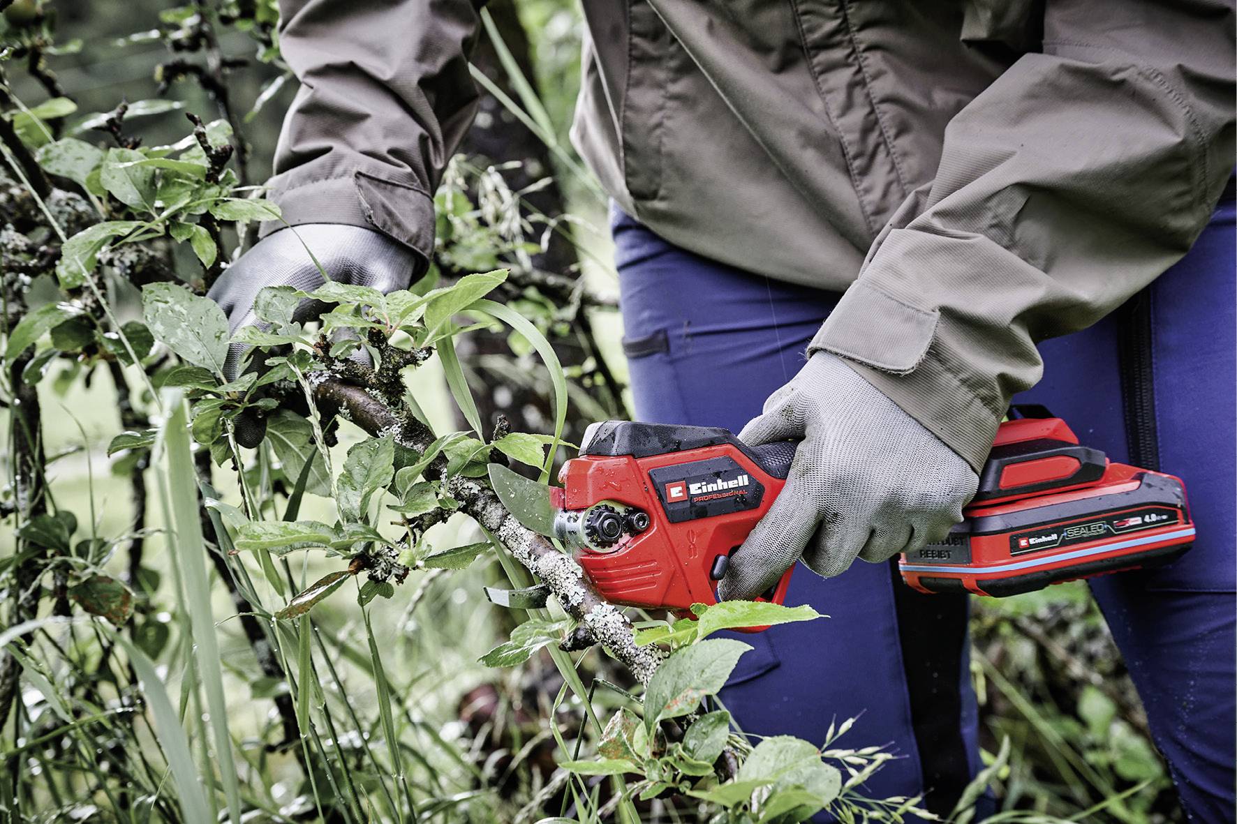 A person in work attire and gloves is cutting a branch with a red, battery-powered pruning shears in the garden.