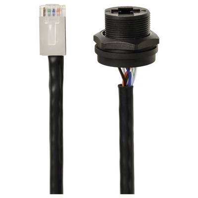 An Ethernet cable with an RJ45 plug and a pass-through socket, both with coloured inner cables visible.