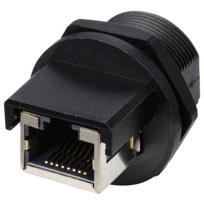Black RJ45 network socket, close-up. The socket shows metal contacts for connecting Ethernet cables.