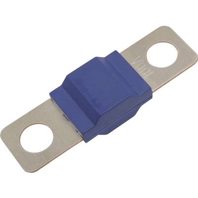 Blue flat security holder with two round holes at each end for mounting.
