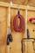 A wooden shed displays neatly organised tools: a red extension lead, a broom and holders. Everything is tidily hung up.