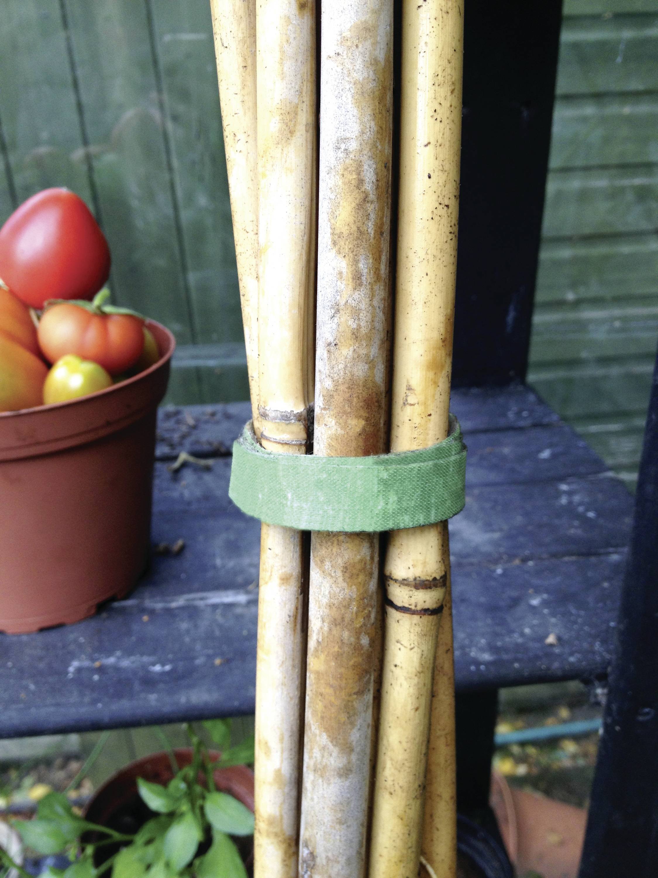 Four bamboo sticks are tied together with a green ribbon, standing in front of a shelf; next to them is a pot with tomatoes.