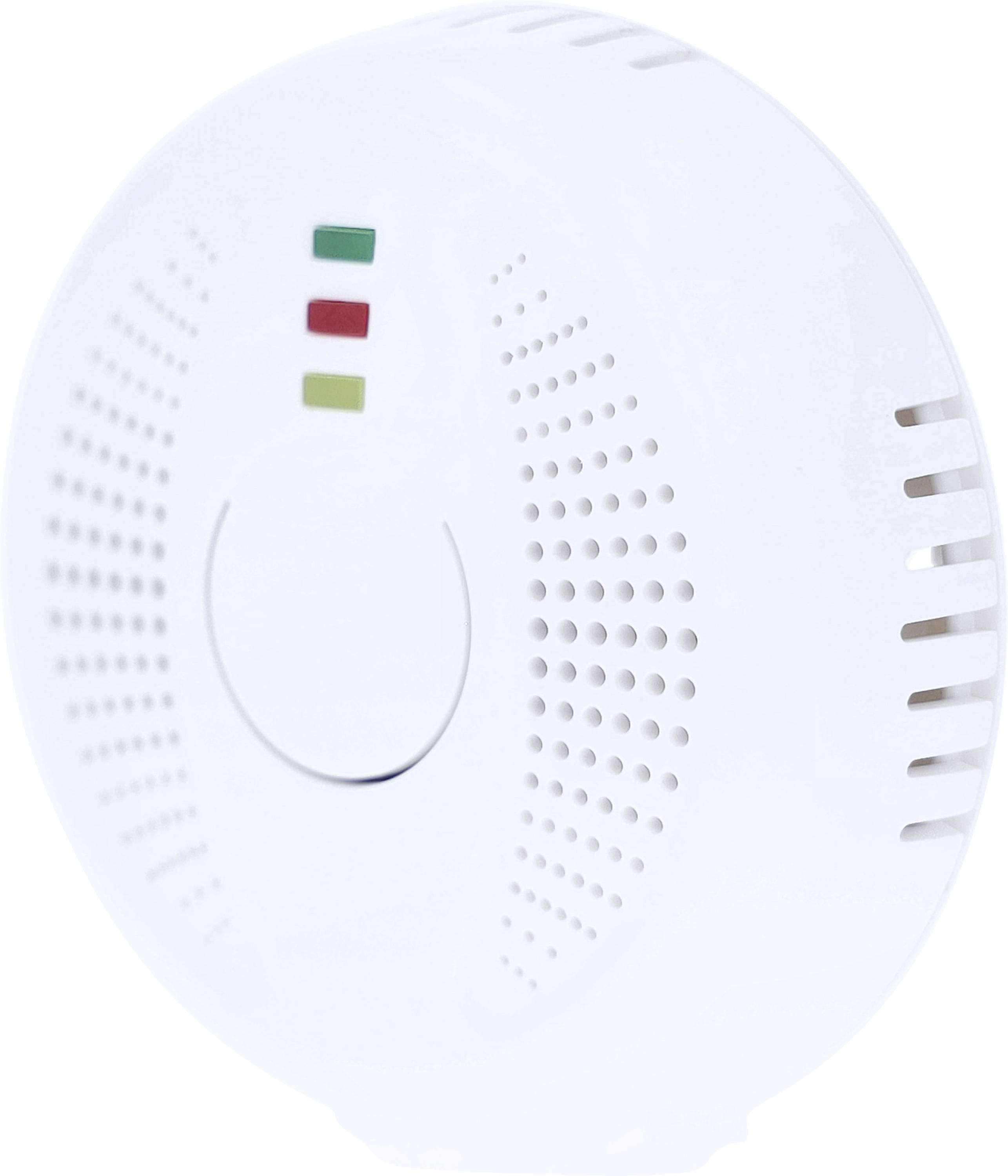 AS Schwabe Gas and CO detector