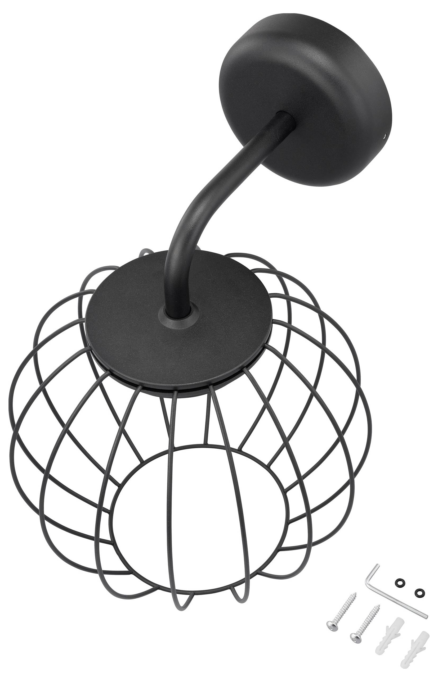 Black metal wire cage light fixture with wall mount and included screws and hex key.
