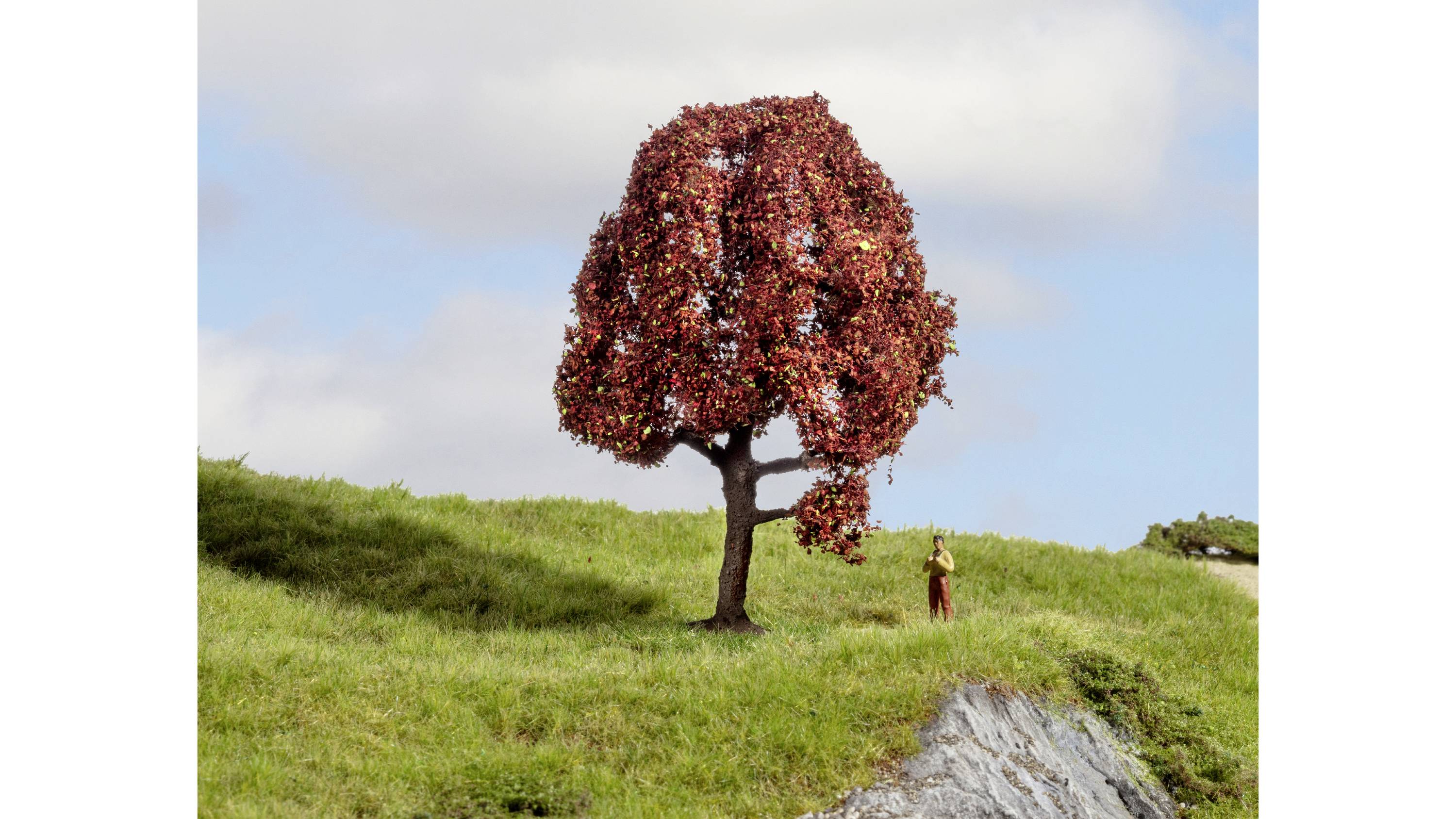 A large tree with red leaves stands on a grassy hill beneath a cloudy sky. A small person stands beside it.