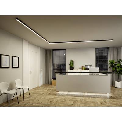 Modern reception area in an office with a desk, white chairs, and indoor plants. Wooden flooring and floor-to-ceiling windows in the background.