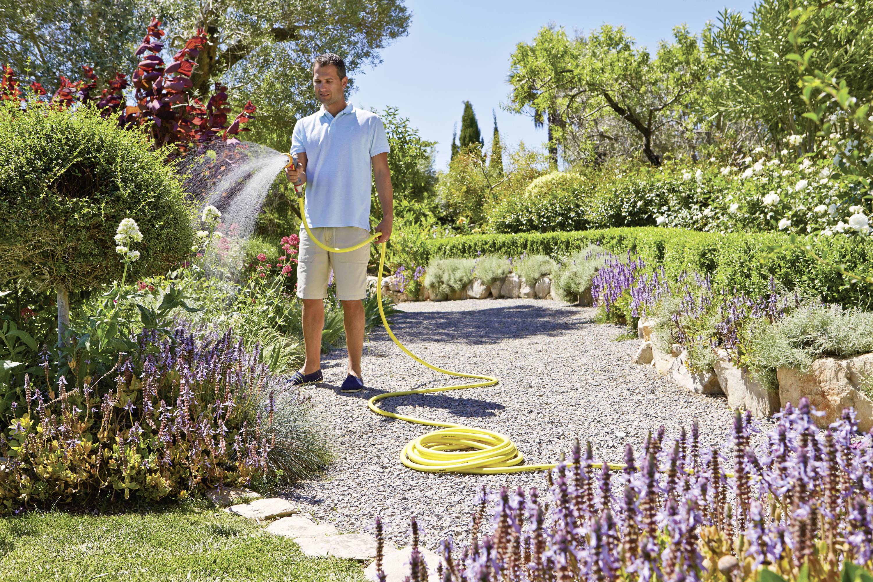 A man is watering plants on a sunny day using a garden hose in a well-maintained garden with blooming flowers and trees.