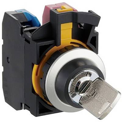 A key switch with a removable key, enclosed in a black plastic housing and metal components for industrial applications.