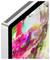 Corner of a computer screen displaying colourful, abstract digital artwork.