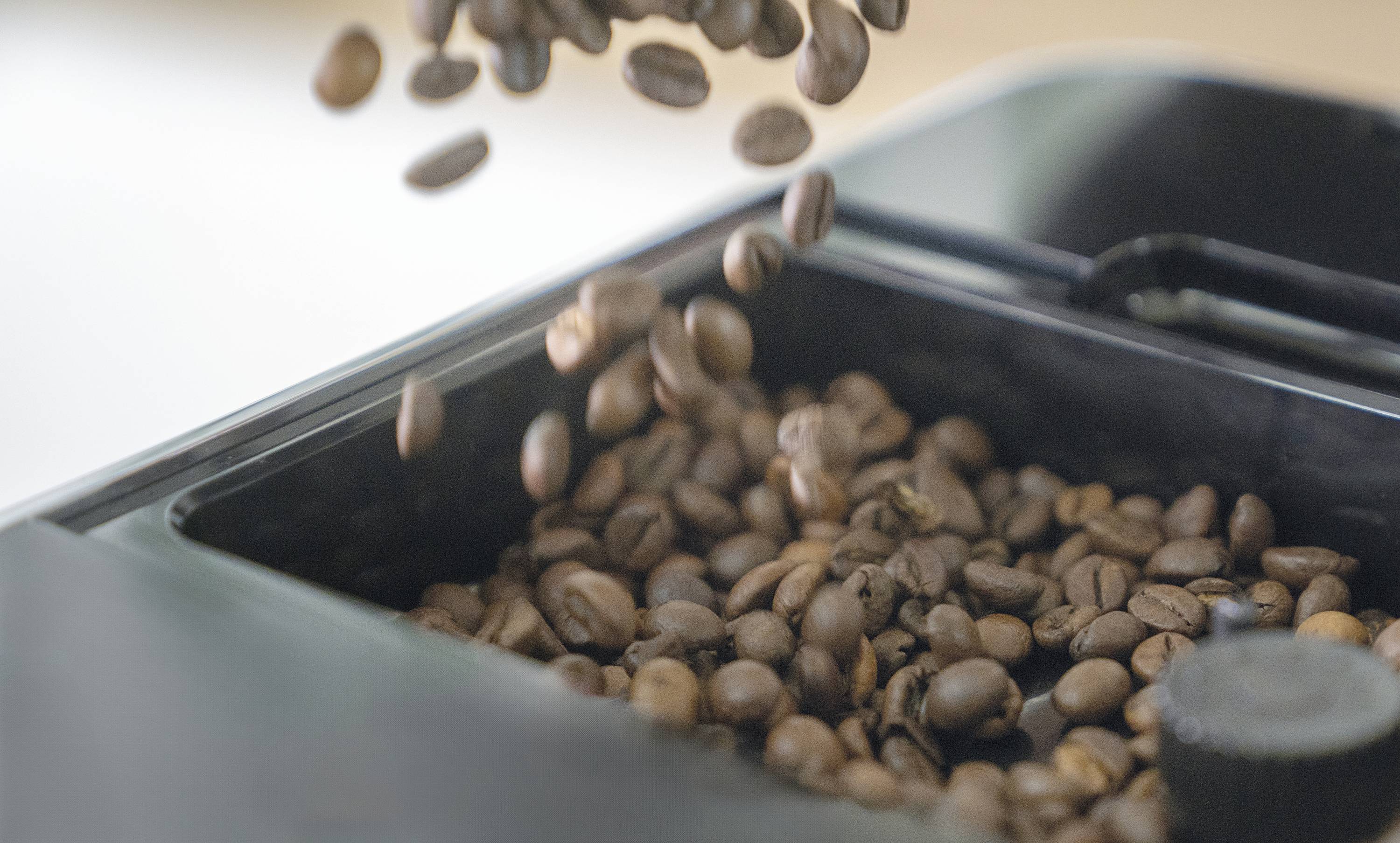 Coffee beans fall into a coffee grinder.