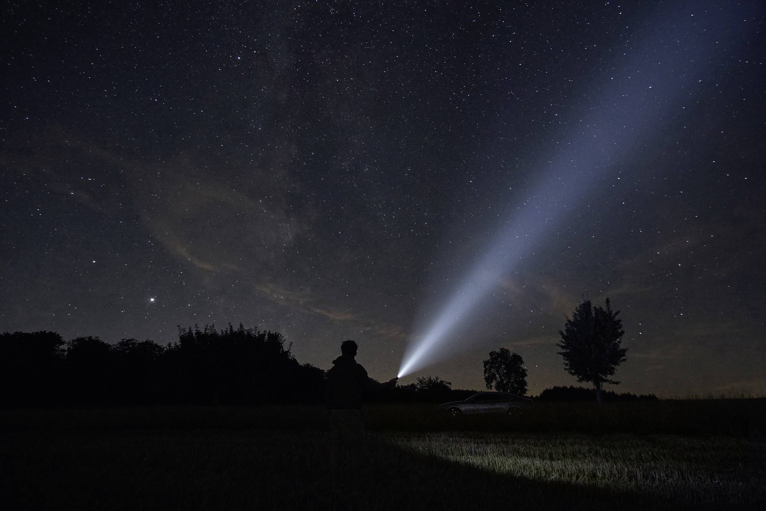 A person stands in a field at night, shining a torch into the star-filled sky, which is bordered by a tree.