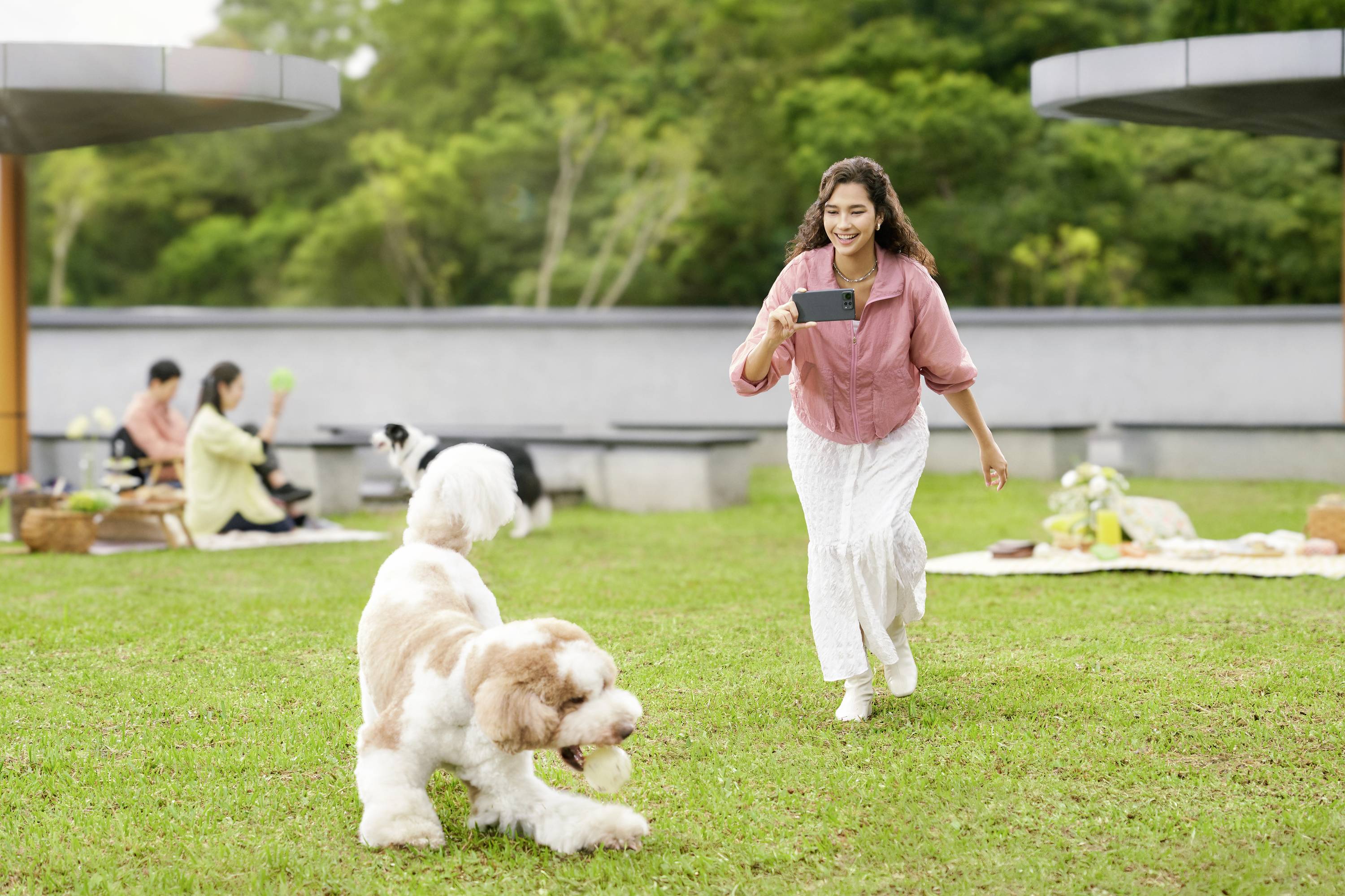 A woman is playing on a green meadow with a dog carrying a ball in its mouth. People are having a picnic in the background.