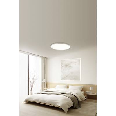 Buy Xiaomi BHR9934GL Mi Smart LED Ceiling Light D30 Ceiling light