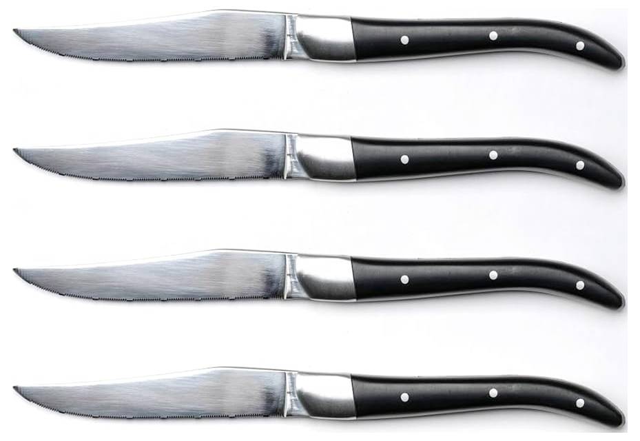 Qdesign 190-071 4-piece stainless steel steak knife set
