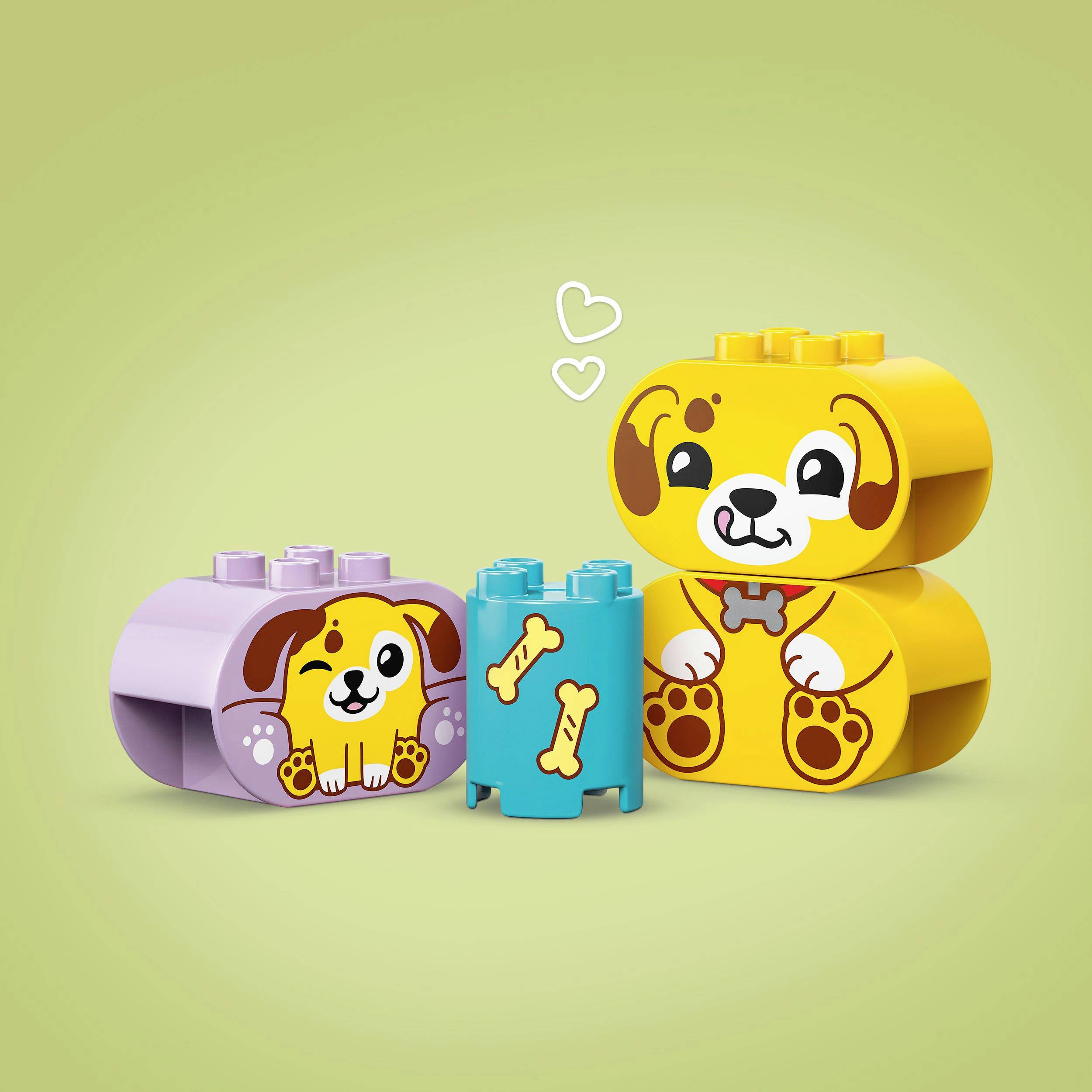 A set of colorful building blocks showing a yellow dog and a blue dog bowl with bone illustrations. Light green background.