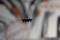 A small drone hovers in a blurry interior with abstract art on the walls.