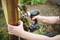 A person is using a green electric screwdriver to secure a wooden board to a tree trunk outdoors.
