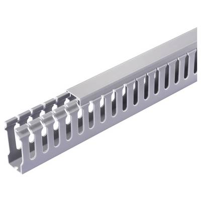 Sygonix SY-6801166 Cable duct (L x W x H) 2000 x 25 x 60 mm 5 pc(s) Grey-1