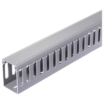 Sygonix SY-6801170 Cable duct (L x W x H) 2000 x 60 x 80 mm 5 pc(s) Grey-2