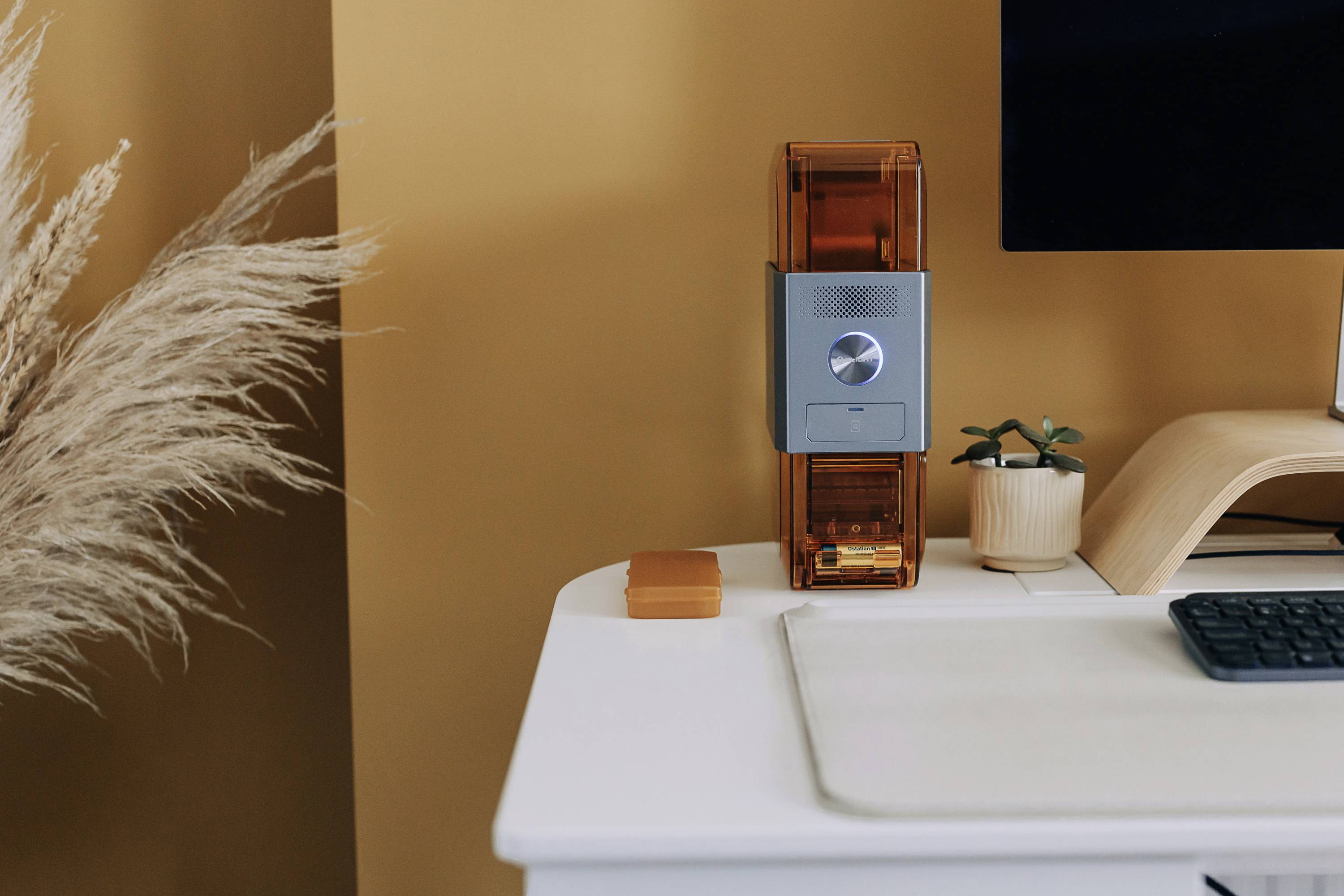 A modern, tidy desk with an orange computer tower, a houseplant and part of a monitor. Pampas grass is visible on the left.