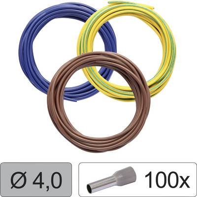 Three cable rings in Blue, Yellow-Green and Brown. Below the symbol for cable shoe and text 'Ø 4.0' and '100x'.