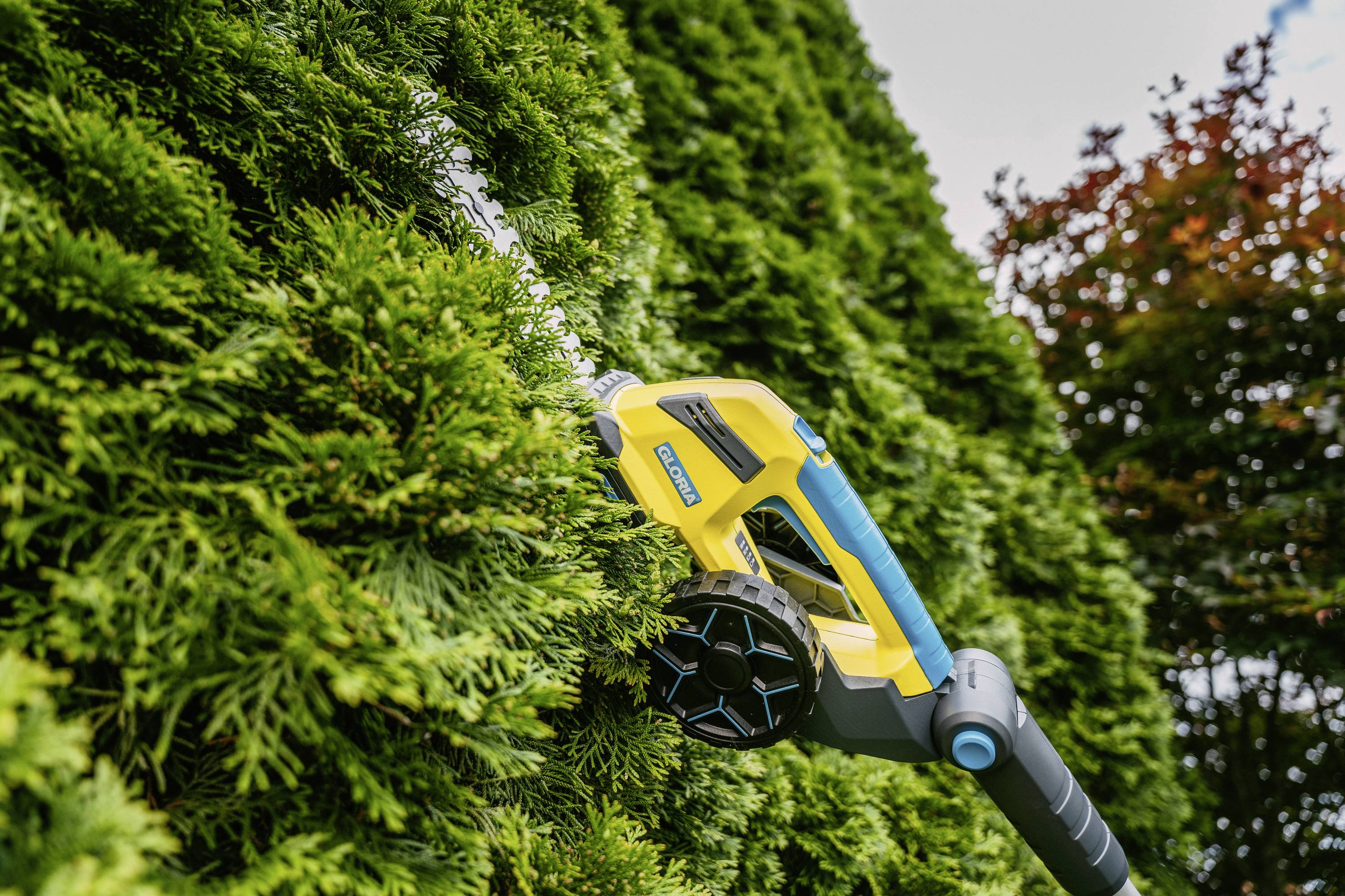 A yellow and blue hedge trimmer precisely cuts a dense green hedge. A red tree is visible in the background.