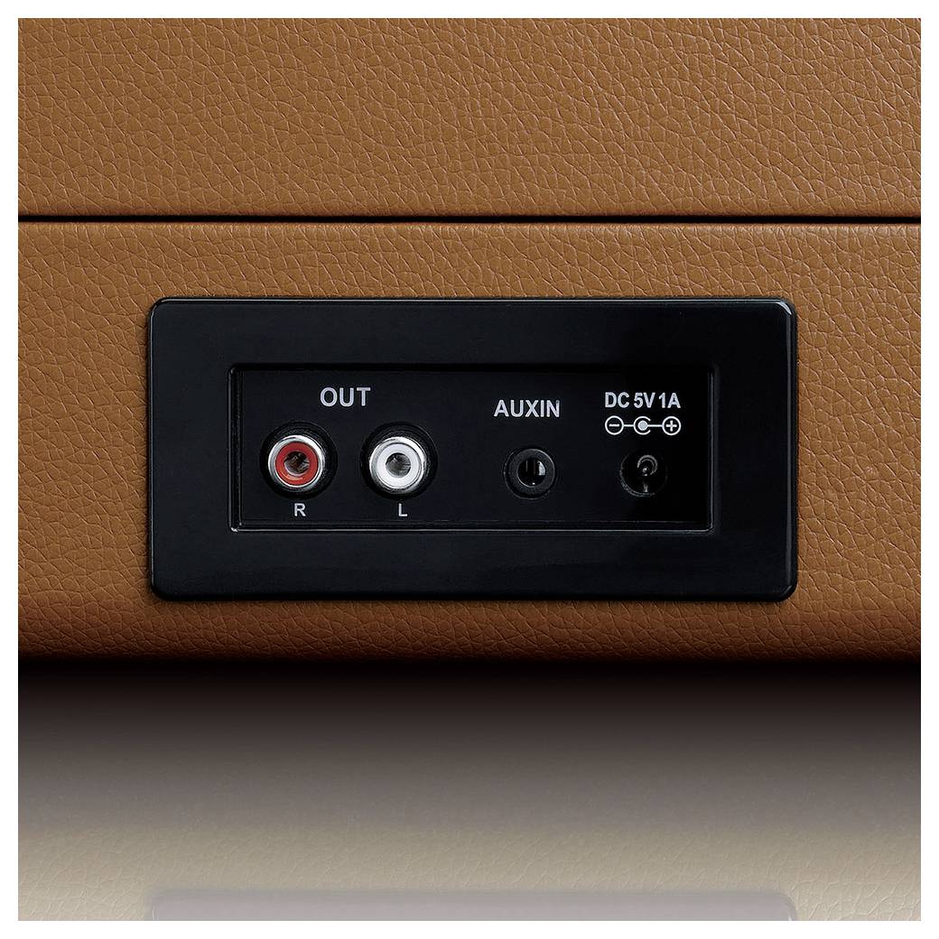 Back of a speaker with connections: RCA output, Aux input and power supply DC 5V, 1A. Casing in brown leather-look finish.