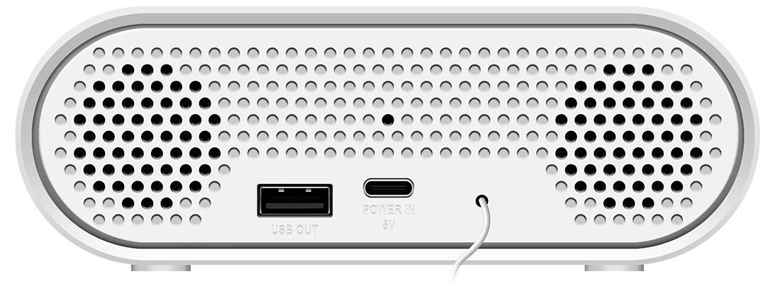 Back of a white speaker with two speaker grilles, USB port, Type-C port and a power jack.