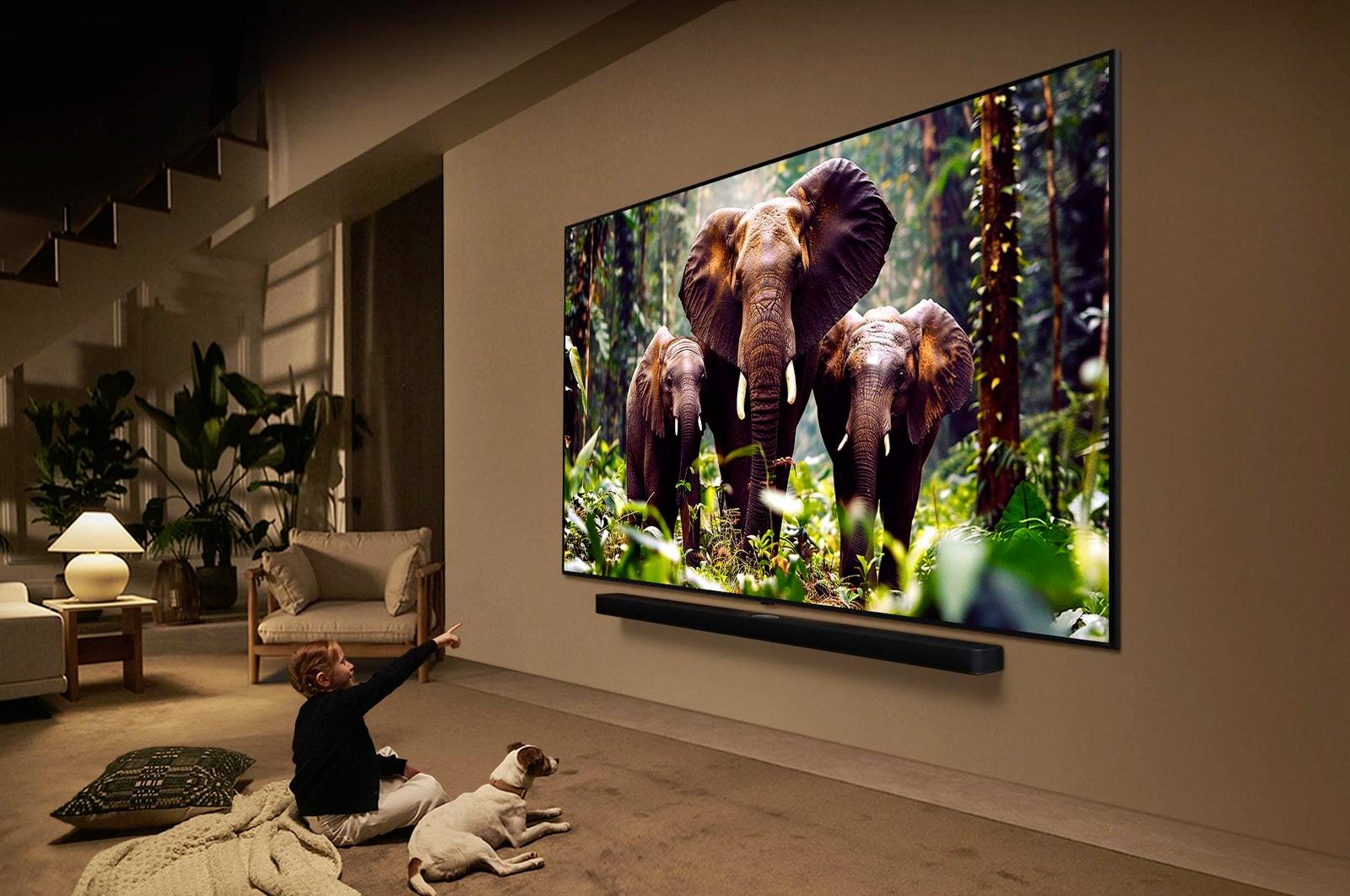 LG Electronics 4K QNED evo AI QNED85 QNED-TV 165 cm 65 inch EEC E (A - G) CI+, DVB-C, DVB-S, DVB-S2, DVB-T, DVB-T2, UHD,-4