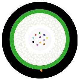 A circular diagram with a green ring, a white center, and small colored dots in the center, symbolizing a pattern or design concept.